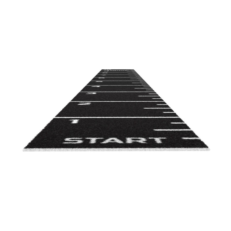 tiguar-sprint-track-1200px.jpg