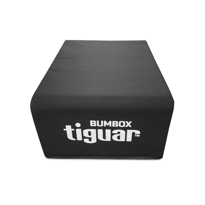 tiguar-bumbox-1200px-2.jpg