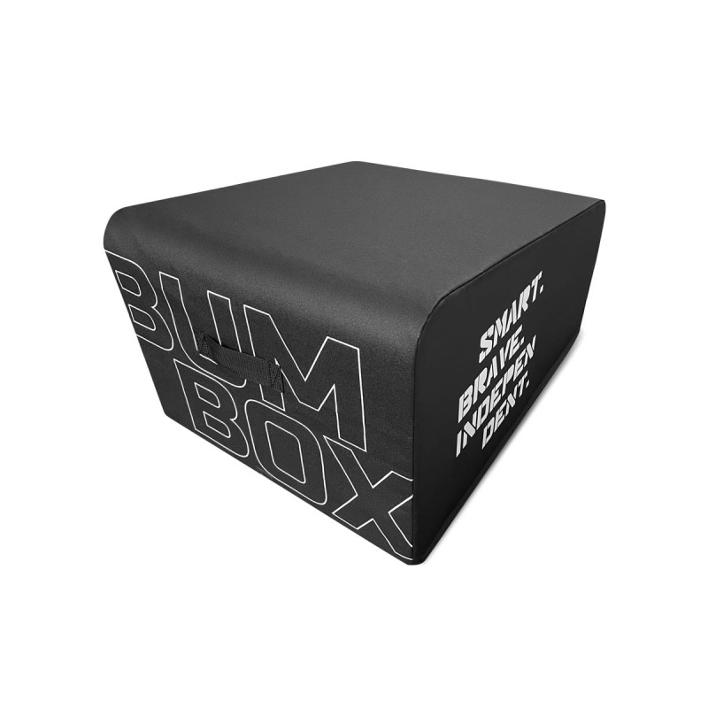 tiguar-bumbox-1200px-3.jpg