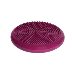 tiguar dysk sensoryczny Air Disc śliwka