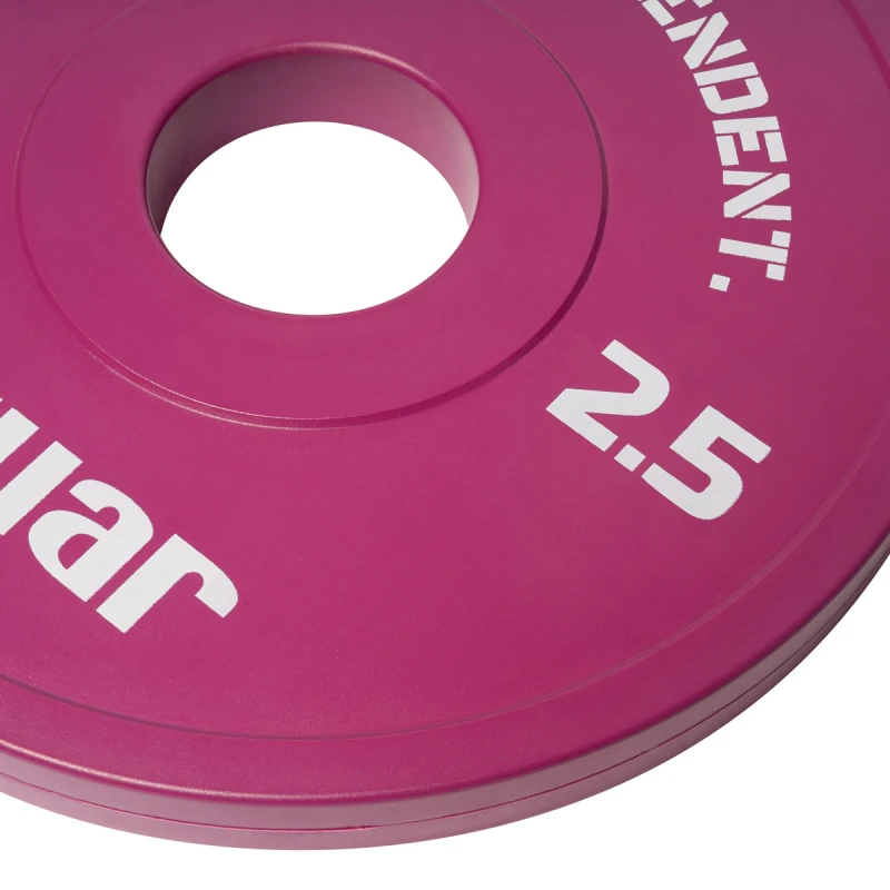 tiguar-fractional-plate-2,5kg-3-1200px.jpg